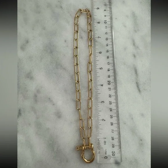 COPY - Gold Carabiner Clasp Charm Chain Link Necklace
Brand New - Picture 3 of 4